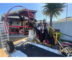 Trike Falcon Fly Hornet