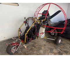 Trike Falcon Fly Hornet