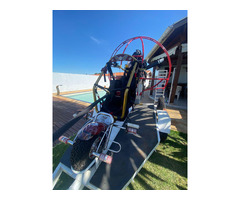 Trike Falcon Fly Hornet