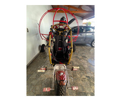 Trike Falcon Fly Hornet - 6