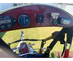 Trike Falcon Fly Hornet - 8