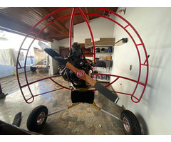 Trike Falcon Fly Hornet - 9