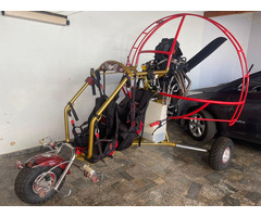 Trike Falcon Fly Hornet - 10