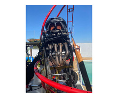 Trike Falcon Fly Hornet - 15