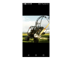Gold fly paratrike