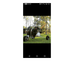 Gold fly paratrike