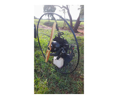 Paramotor moster my 22
