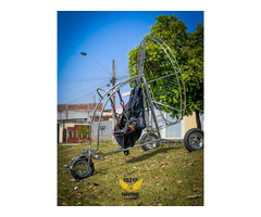 Gold fly paratrike