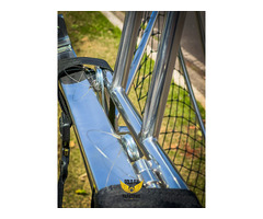 Gold fly paratrike