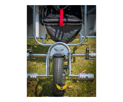 Gold fly paratrike
